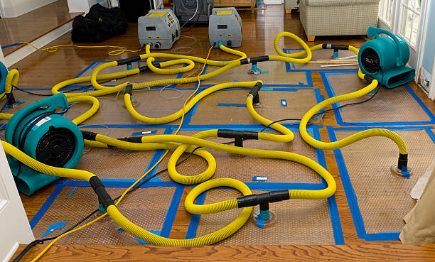 Professional Basement Flood Cleanup technician working in Charleroi, PA